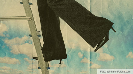 Karriereleiter Karriereleiter