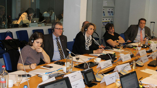 Sitzung des CESI-Berufsrats Sicherheit Sitzung des CESI-Berufsrats Sicherheit am 16. März in Brüssel.
