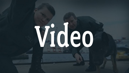 Video/Audio Video/Audio