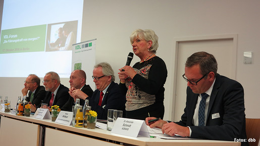 Wildfeuer beim VDL-Forum Wildfeuer beim VDL-Forum