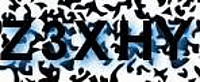 grafischer Sicherheitscode