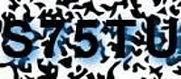 grafischer Sicherheitscode