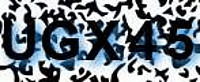 grafischer Sicherheitscode