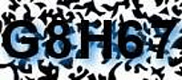 grafischer Sicherheitscode