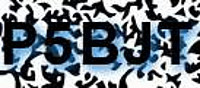grafischer Sicherheitscode
