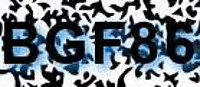 grafischer Sicherheitscode