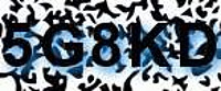 grafischer Sicherheitscode