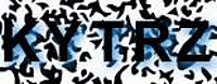 grafischer Sicherheitscode