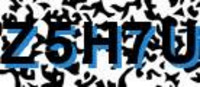 grafischer Sicherheitscode