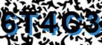 grafischer Sicherheitscode