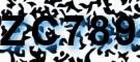 grafischer Sicherheitscode