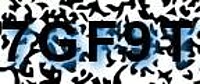 grafischer Sicherheitscode