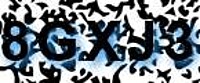 grafischer Sicherheitscode