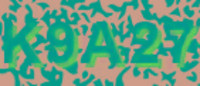 grafischer Sicherheitscode