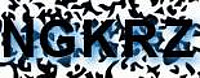 grafischer Sicherheitscode