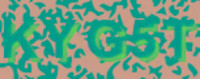 grafischer Sicherheitscode