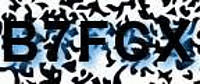 grafischer Sicherheitscode