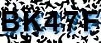 grafischer Sicherheitscode