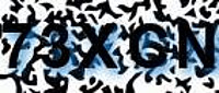 grafischer Sicherheitscode