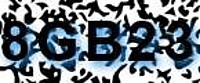 grafischer Sicherheitscode