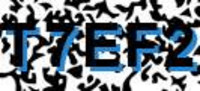 grafischer Sicherheitscode