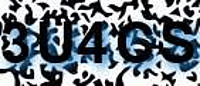 grafischer Sicherheitscode