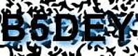 grafischer Sicherheitscode