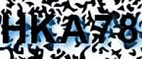 grafischer Sicherheitscode