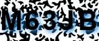 grafischer Sicherheitscode