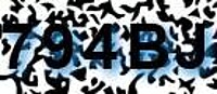 grafischer Sicherheitscode