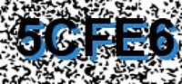 grafischer Sicherheitscode