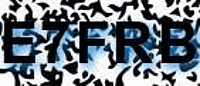 grafischer Sicherheitscode