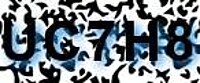 grafischer Sicherheitscode
