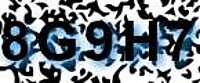 grafischer Sicherheitscode