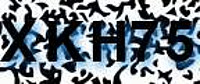 grafischer Sicherheitscode