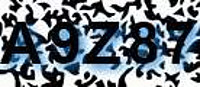 grafischer Sicherheitscode