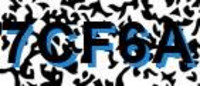 grafischer Sicherheitscode