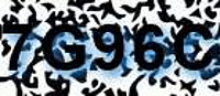 grafischer Sicherheitscode