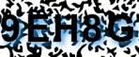 grafischer Sicherheitscode