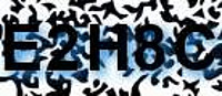 grafischer Sicherheitscode