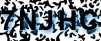 grafischer Sicherheitscode