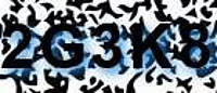 grafischer Sicherheitscode