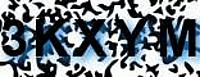 grafischer Sicherheitscode