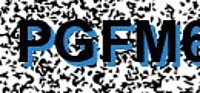 grafischer Sicherheitscode