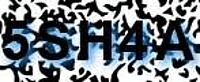 grafischer Sicherheitscode