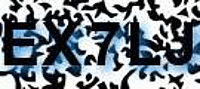 grafischer Sicherheitscode