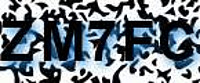 grafischer Sicherheitscode