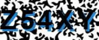 grafischer Sicherheitscode