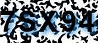 grafischer Sicherheitscode