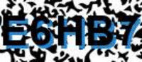 grafischer Sicherheitscode